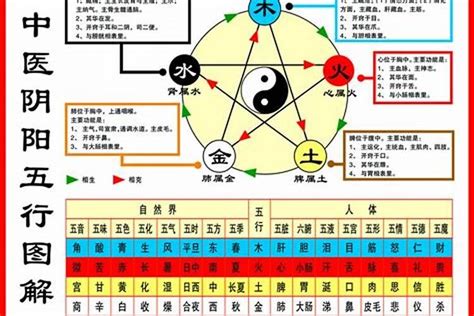 看自己五行